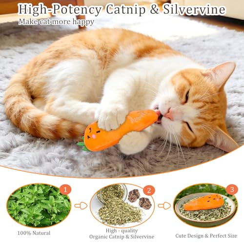 ETEKYER Catnip Cat Toys for Indoor Cats, Vegetable Shape 5 Pack - style: Catnip toys 5 Pack
