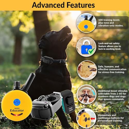 E-Collar Mini Educator ET-300 Remote Dog Training Collar, Teal - color: Teal, size: 1 Dog