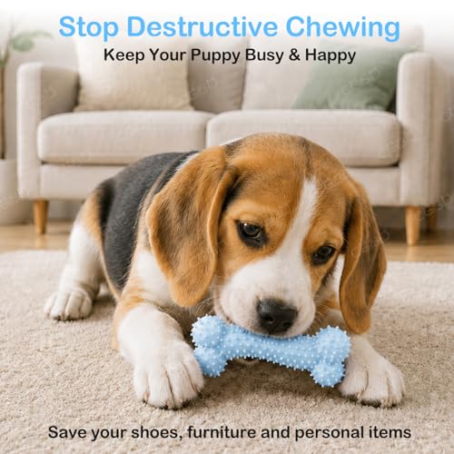Puppy Toys, 6 Pack Dog Chew Toys, Teething Toys for Small Dogs, Blue - color: Blue, size: Small（6Pack）