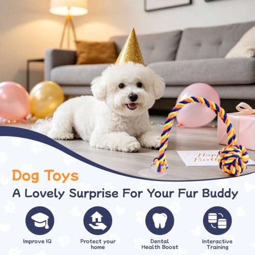 Dog Rope Toy with Suction Cup Interactive Tug of War Toy 2Pcs - size: suction cup