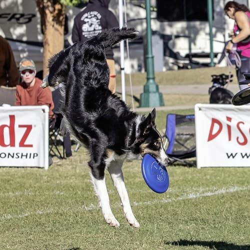 Hyperflite Pup Jawz Puncture Resistant Dog Flying Disc, Small Dogs - color: blue