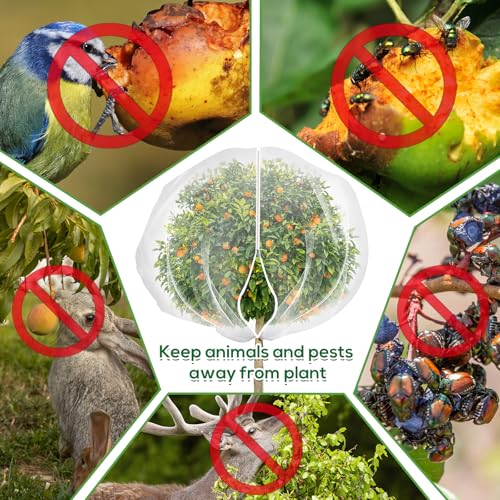 1 Pack 9.8 x 9.8 ft Fruit Tree Netting Covers with Zipper and Drawstring - size: 9.8 x 9.8FT/1Pack
