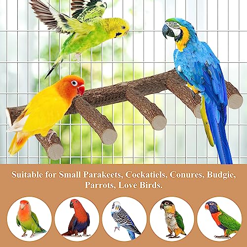 Parrot Wood Stand, Parrots Perch for Cage, Natural Bird Ladder