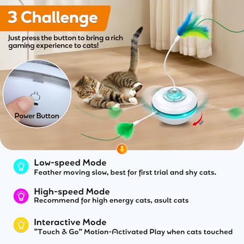 Cat Toys Interactive Cats Exercise Felt Cover Toy