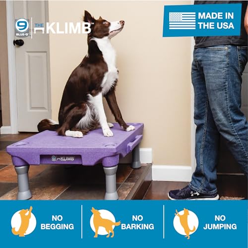 Blue-9 KLIMB® Dog Training Platform, Durable Portable, Made in USA, Tan - color: Tan