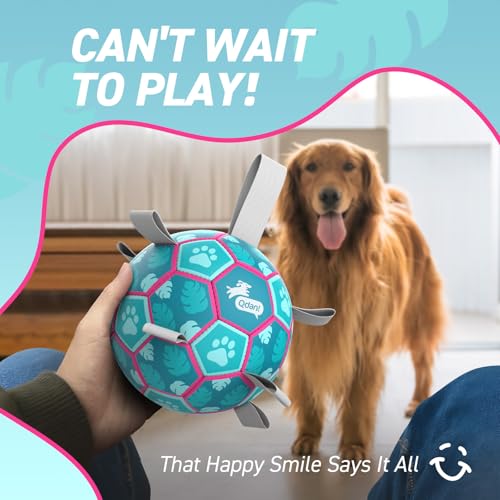 QDAN Dog Toys Soccer Ball with Straps, Pool Dog Water Toy, Outside Ball - color: Lake Blue, size: Medium Size 2 (6 Inch)