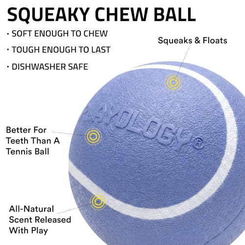 Playology Squeaky Chew Ball Dog Toy - Small, Blueberry Scent, 3-Pack - size: Small (VALUE 3-Pack), style: Blueberry