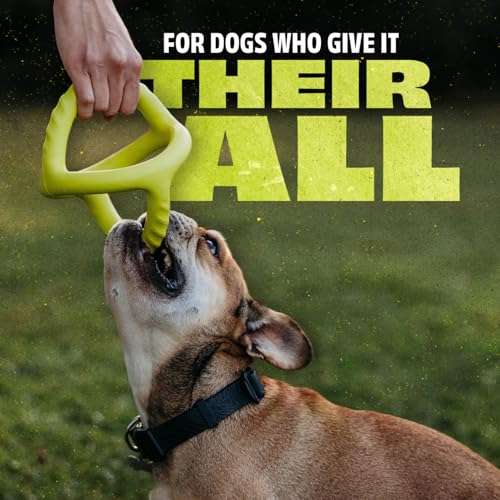 Benebone Natural Rubber Tug Interactive Dog Toy - size: One Size
