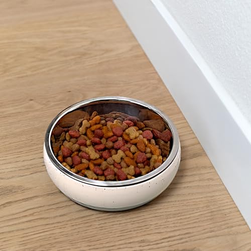 Fringe Studio Speckled Stripe Ivory Small Ceramic Pet Bowl W/Stainless Steel Bowl Insert (5" Diameter x 1.75" H, 13 fl.oz.), PetShop Collection (793SM001) - color: Speckled Stripe Ivory, size: Small