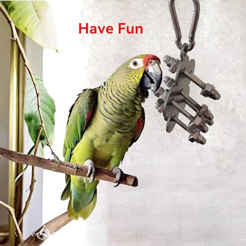 JSLZF Stainless Steel Parrot Toy, Hanging African Grey Chew Toy for Bird