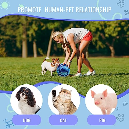 Pet Snuffle Ball, Puzzle Sniffing Interactive Dog Ball for Blind Dogs Training Stress Relief Dog Enrichment Toys Treat Machine Washable (Ocean Blue, 10cm) - color: Ocean blue, size: 10cm