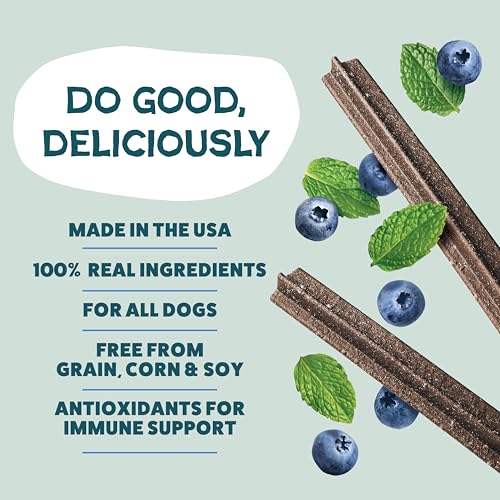 Shameless Pets Blueberry & Mint Dental Chews for Dogs, 8 Chews - size: 7.2 Ounce (Pack of 1)