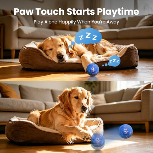 IPX7 Waterproof, Smart Chase Pet Toy Ball for Medium and Large Dogs
