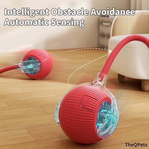 Interactive Cat Toy Ball – Automatic Self-Moving, Motion-Activated, USB-Rechargeable, Quiet LED Chase Modes, Indoor Exercise & Enrichment for Bored Cats & Kittens