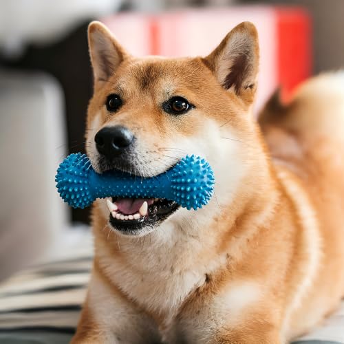 1 Pcs Dual-Action Canine Dental Prop, Bite and Brush Dental Toy for Dogs