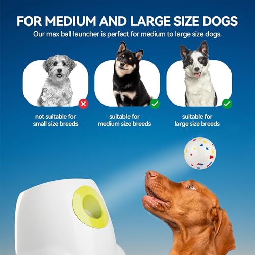 All for Paws Automatic Ball Launcher for Dogs, Interactive Pet ETPU Balls Outdoor Thrower for Medium to Large Dogs, Ball Throwing Machine for Dogs, 6 ETPU Balls Included(2.5"), Rechargeable Battery - size: 2.5"ball launcher