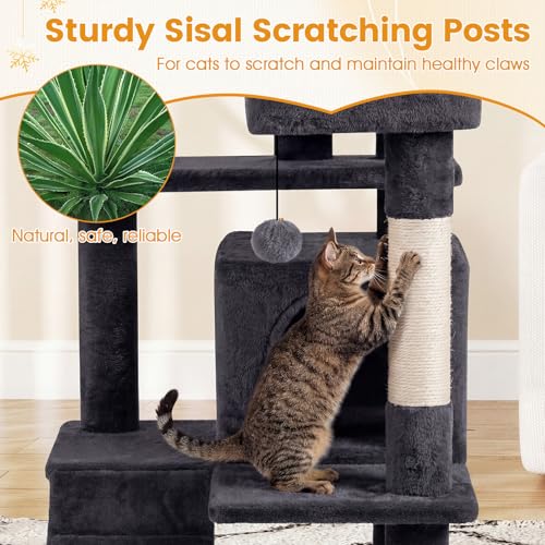 PETSITE 52-inch Cat Tree, Multi-Level Cat Tower with Sisal Scratching Posts, 2 Comfy Condos, Plush Padded Soft Top Perch, Dangling Balls, and Climbing Ladder, Ideal for Indoor Cats (Dark Grey) - color: Dark Grey