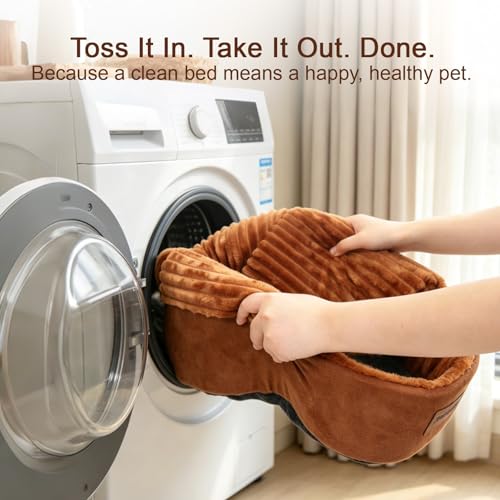 Cat Bed Cave with Pillow & Cat Toys, Cozy Cat Beds for Indoor Cats - size: S-15.7IN
