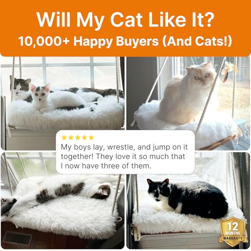 Large Cat Window Perch with Industrial-Grade Suction Cups - Solid Pine Wood Hammock Bed, Soft Cushion - 42 lb Capacity for Heavy Cats Inside - color: Brown/White, size: X-Large