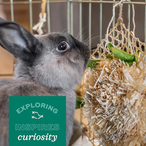 Oxbow Timothy Hay Hide & Seek Snuffle Mat, Rabbit & Guinea Pig Enrichment - size: Small (Pack of 1)