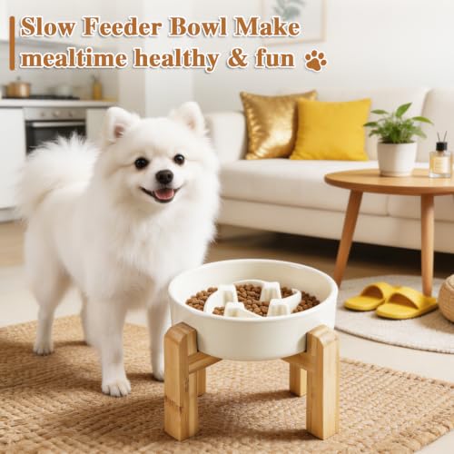 6.3” Elevated Slow Feeder Dog Bowls,Ceramic Slow Feeder Dog Bowl with Stand - color: White-M