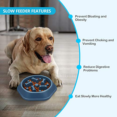 UPSKY Slow Feeder Dog Bowl Anti-Chocking Slower Feeding Pet Puzzle Bowls - color: M-Blue+Pink