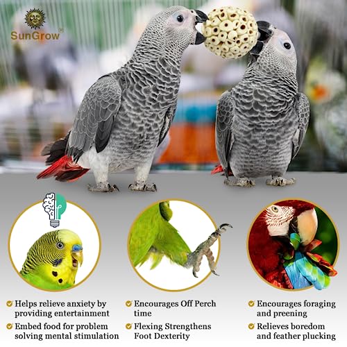 SunGrow Sola Atta Foraging Balls, 2”, White Soft Shred Parrot Chews, Bird Chewing Accessories for Conure, Budgie, Parakeet, Cockatiel, Rabbits, Hamsters, and Small Pets, 3 Pcs/Pack