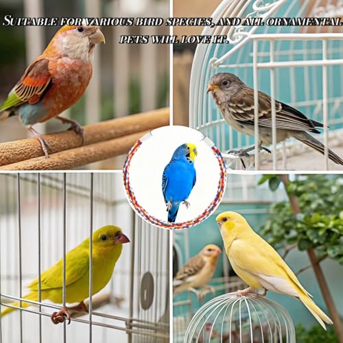 Bird Rope Perches, Parrot Toys, Bungee Rope Perches for Parrots, Cockatiels, Parakeets, Budgie Cages Comfy Birds (Metal Nut) - 41.34 inches - size: 105cm