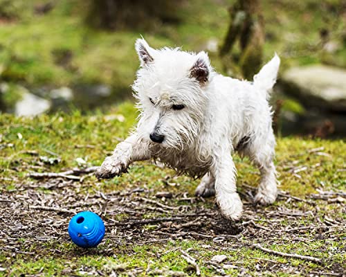 Chuckit! Crunch Ball Dog Toy, Medium (Pack of 24) - size: Medium (Pack of 24)