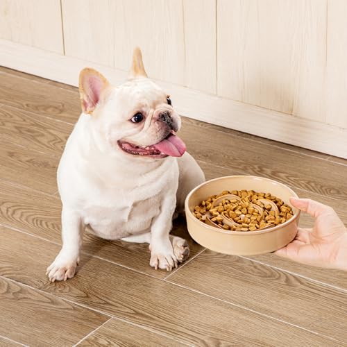 vancasso Ceramic Slow Feeder Dog Bowls, 0.6 Cup Puzzle Dish for Small Breed - color: Khaki, size: S - 0.6 Cups