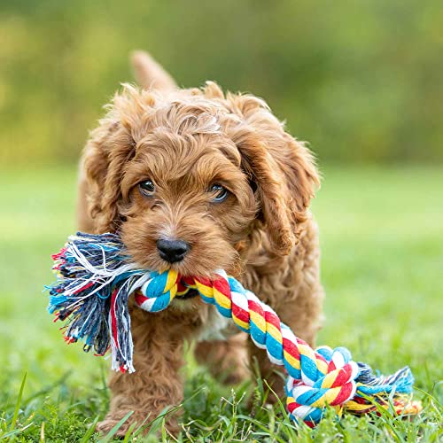 Jeffers Pet Rope Bone Dog Toy, Multi-Colored, 10" – Durable Braided Rope for Tug of War, Chewing & Fetch – Interactive Play for Pets – Machine Washable Dog Game Toy, Supports Healthy - color: Multicolor, size: 10 Inches