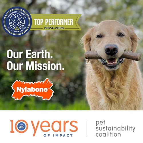 Nylabone Puppy Chew Teething Key Ring Dog Chew Toy, Bacon Flavor, Small - size: Small
