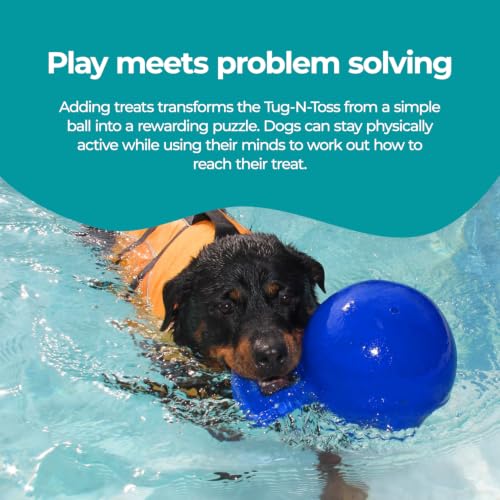 Jolly Pets Tug-n-Toss Heavy Duty Dog Toy Ball with Handle, 4 Inches/Petite, Blue (404 BL),Small Breeds - color: Blue, size: 4 inches/Petite