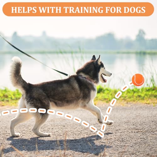 20Pcs Small Tennis Balls for Dogs, 2 Inch Mini Dog Training Tennis Balls