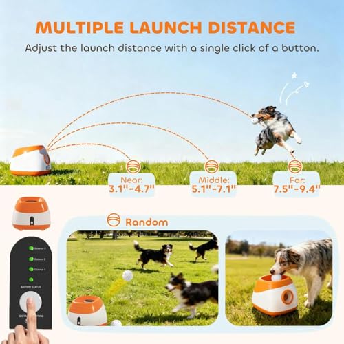 Automatic Dog Ball Launcher for Endless Play