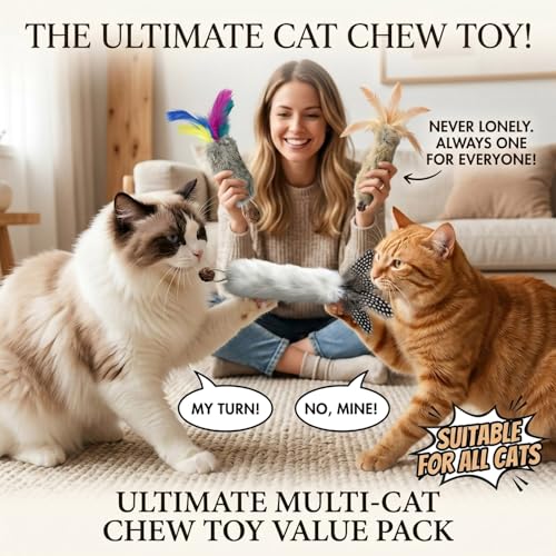 6PCS Cat Rabbit Feather Silvervine Crinkle Kicker for Cats Indoor - size: Large