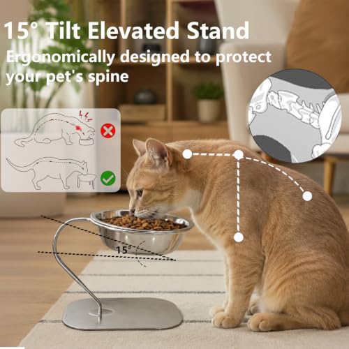 Elevated Cat Bowls,15° Tilt Stainless Steel Raised Feeder,1PC - size: B-1PC