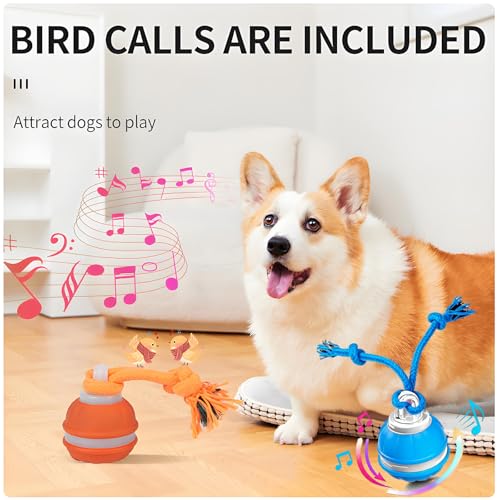 Interactive Dog Ball Toy for Small Dogs, Motion Activated Rolling Ball
