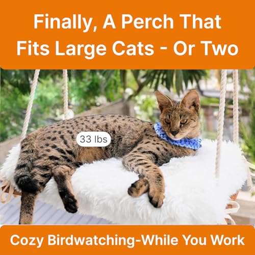 Large Cat Window Perch with Industrial-Grade Suction Cups - Solid Pine Wood Hammock Bed, Soft Cushion - 42 lb Capacity for Heavy Cats Inside - color: Brown/White, size: X-Large