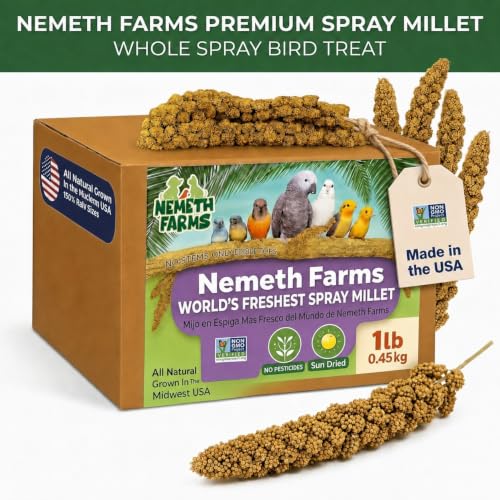 Nemeth Farms Spray Millet - Edible Tops Only, Non-GMO and Sun-Dried - 1 lb for Parakeets, Canaries and Finches - size: 1 Pound (Pack of 1)