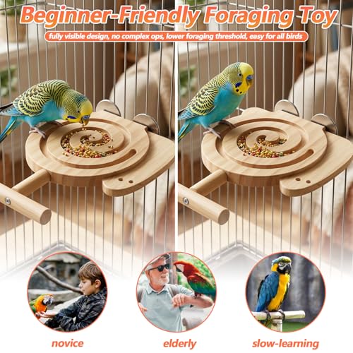 Bird Foraging Toys with Perch Snail Wood Bird Enrichment Toys for Slow Feed