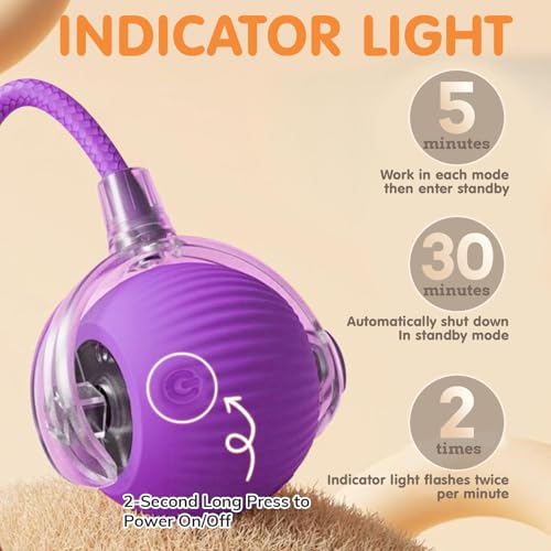 Rocfish Durable Interactive Cat Toys for Indoor Cats (Purple, 01) - color: purple01, size: 01
