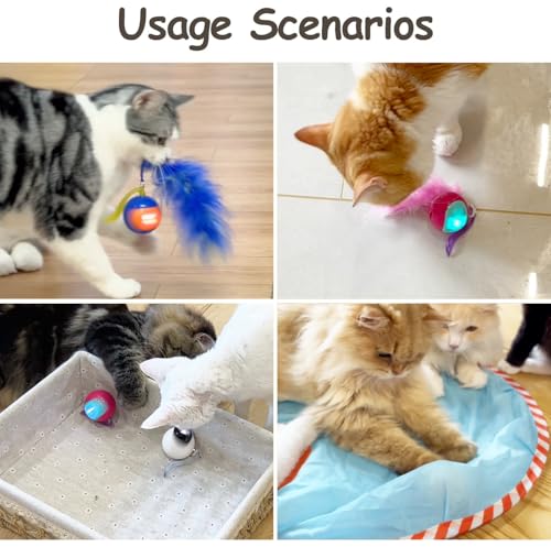 Migipaws 2-in-1 Interactive Cat Toy Ball – Paw Friendly Kicking Chasing Ball with Bonus Fluffy Tail for Indoor Cats Random Rolling Auto Escape Corners Tangle-Free Quiet USB Rechargeable (Blue) - color: Blue