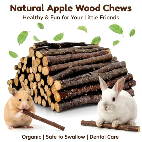 Sukh 340g Organic Apple Sticks - Natural Chew Sticks for Rabbits & Rodents - size: 340g