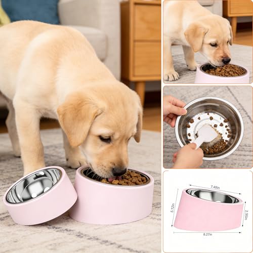 15° Tilted Slow Feeder- Non-Spill & Non-Slip Stainless Steel Dish for Small & Cats - color: Pink, size: M