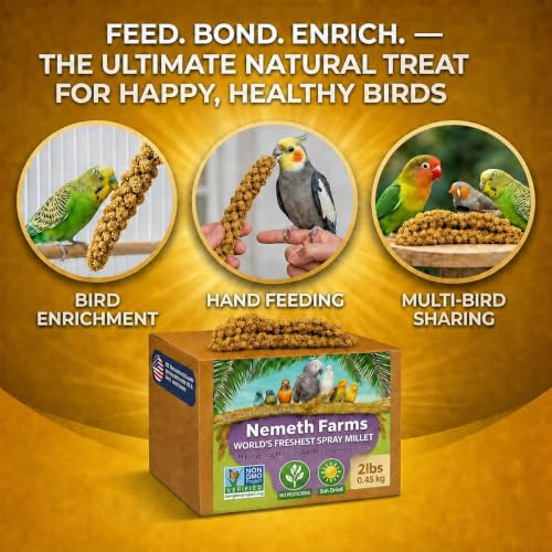 Nemeth Farms Spray Millet - Edible Tops Only, Non-GMO and Sun-Dried - 2 lbs for Cockatiels, Lovebirds and Budgies - size: 2 Pound (Pack of 1)