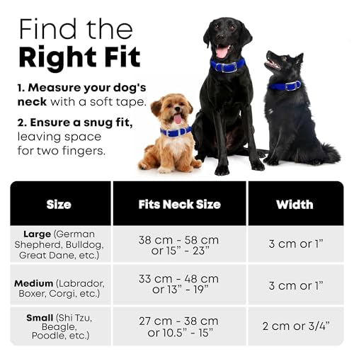 Regal Dog Products Reflective Dog Collar, Durable Metal Buckle, Small Blue - color: Blue, size: Small