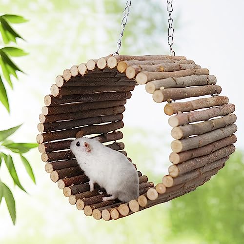 Bird Parrot Swing Toys, Hanging Bird Tree Caves, Natural Apple Wood Parrot Hammock, Bird Cage Accessories, Suitable for Little Bird Parakeets Cockatiels Lovebirds Hamster Rat (6.49" in Diameter) - color: Metal Chains Style, size: Small