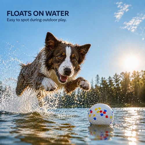 Dog Balls Durable Dog Toys Balls for Aggressive Chewers