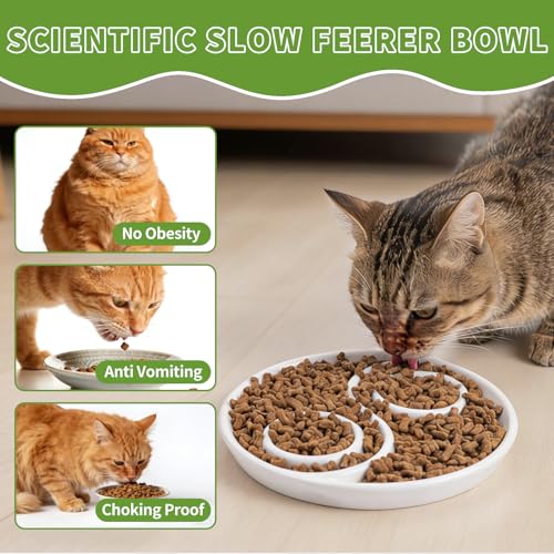 Ceramic Cat Slow Feeder,Shallow and Wide Opening Dish for Whisker Friendly